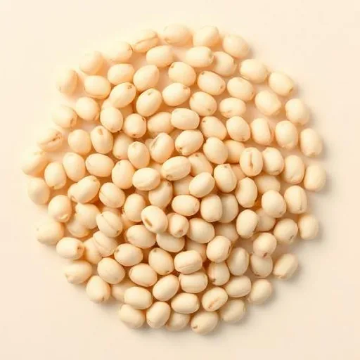 Soya fasulyesi